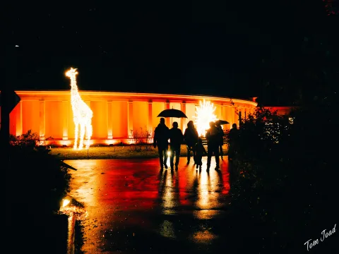 DC-G9M2 · 17mm · f/1.8 · 1/60s · ISO 1600