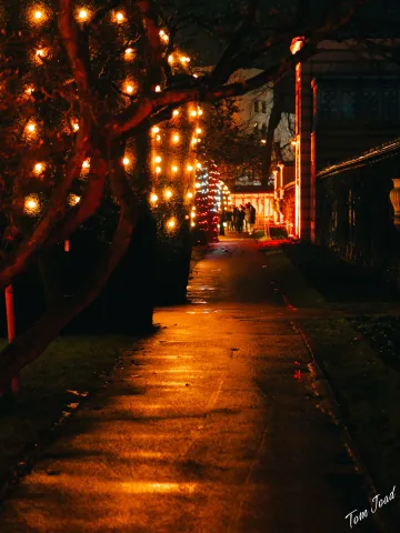 DC-G9M2 · 45mm · f/1.8 · 1/25s · ISO 3200