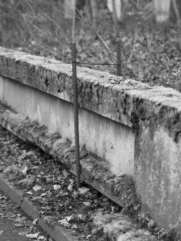 DC-G9M2 · 45mm · f/2 · 1/100s · ISO 125