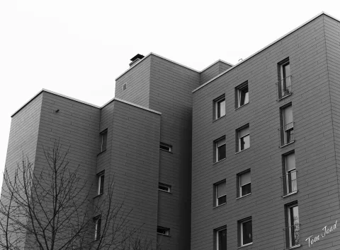 DC-G9M2 · 35mm · f/2.8 · 1/320s · ISO 100