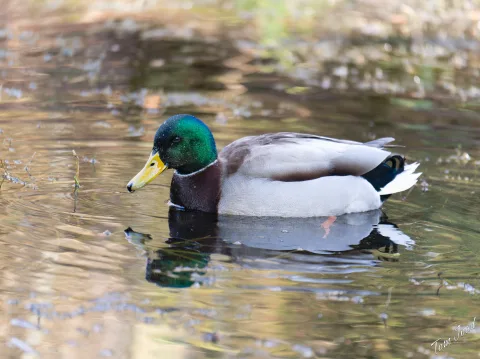 DC-G9M2 · 100mm · f/2.8 · 1/250s · ISO 640