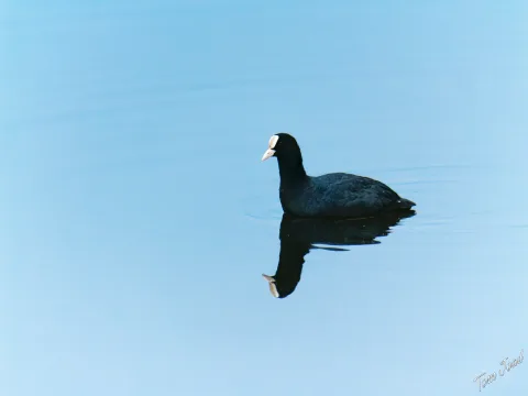 DC-G9M2 · 400mm · f/6.3 · 1/1250s · ISO 3200