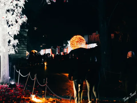 DC-G9M2 · 45mm · f/2.2 · 1/25s · ISO 3200