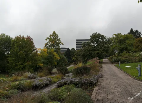 DC-G9M2 · 12mm · f/5.6 · 1/125s · ISO 100