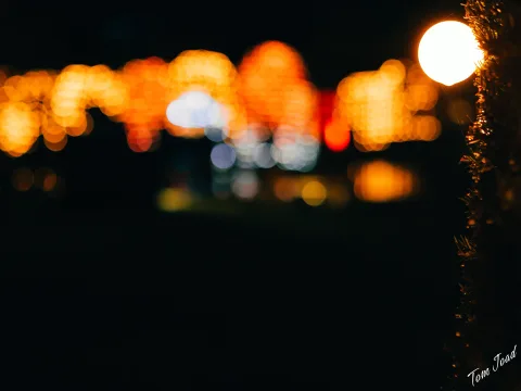 DC-G9M2 · 45mm · f/1.8 · 1/100s · ISO 3200