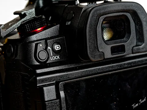 More macro photography