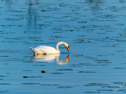 DC-G9M2 · 400mm · f/6.3 · 1/1250s · ISO 5000