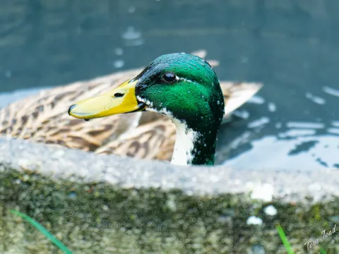 DC-G9M2 · 100mm · f/2.8 · 1/250s · ISO 1600