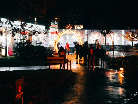 DC-G9M2 · 45mm · f/1.8 · 1/100s · ISO 1600