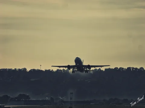 DC-GH6 · 400mm · f/6.3 · 1/1250s · ISO 160