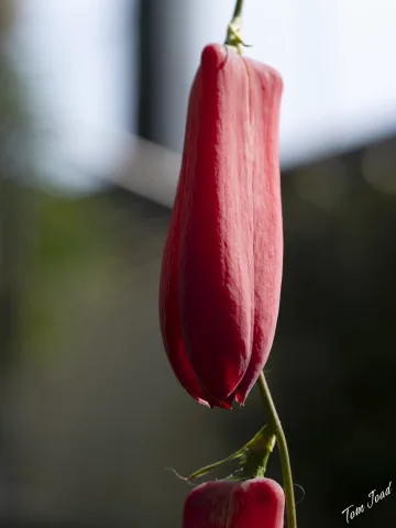 DC-G9M2 · 60mm · f/5.6 · 1/160s · ISO 100