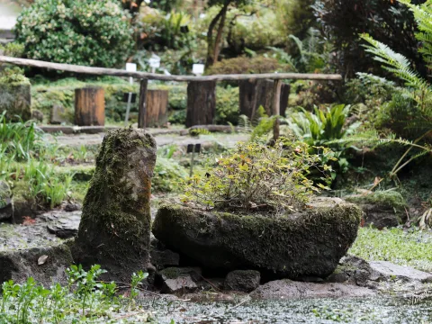 DC-G9M2 · 60mm · f/2.8 · 1/125s · ISO 250