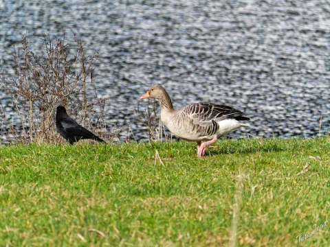 DC-G9M2 · 400mm · f/6.3 · 1/500s · ISO 200