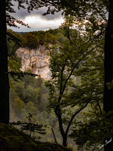 Little outdoor adventure
