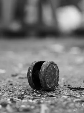 DC-G9M2 · 45mm · f/1.8 · 1/250s · ISO 100