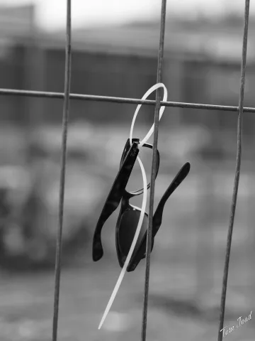 DC-G9M2 · 45mm · f/1.8 · 1/320s · ISO 100