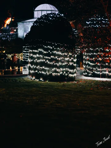 DC-G9M2 · 45mm · f/1.8 · 1/30s · ISO 3200