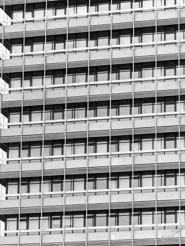 DC-G9M2 · 100mm · f/2.8 · 1/250s · ISO 160