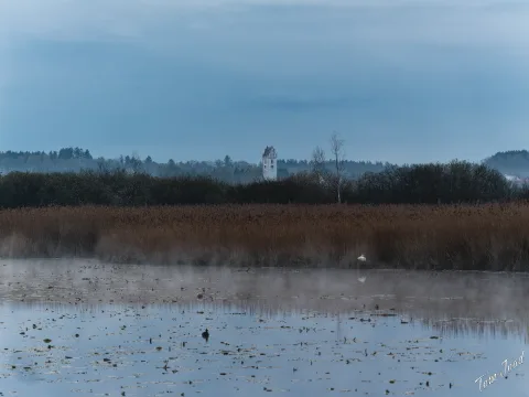 DC-G9M2 · 100mm · f/4 · 1/500s · ISO 640