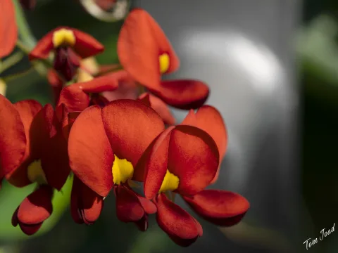 DC-G9M2 · 60mm · f/5.6 · 1/160s · ISO 100