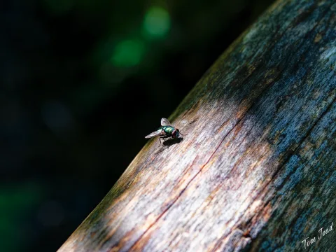 DC-G9M2 · 60mm · f/5 · 1/125s · ISO 640