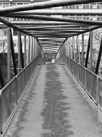 DC-G9M2 · 36mm · f/2.8 · 1/400s · ISO 100