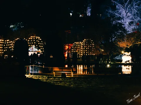 DC-G9M2 · 45mm · f/1.8 · 1/50s · ISO 3200