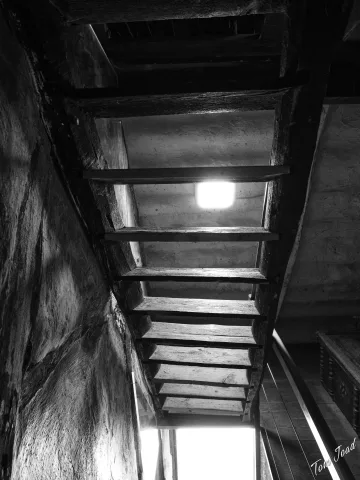 DC-G9M2 · 12mm · f/3.5 · 1/60s · ISO 3200