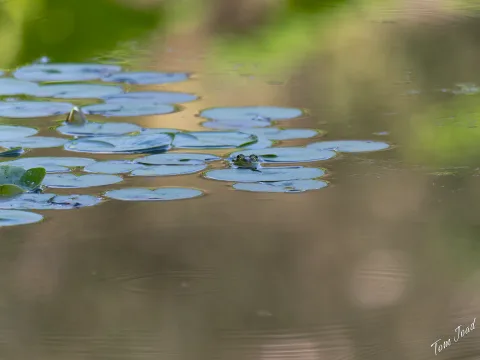 DC-G9M2 · 400mm · f/6.3 · 1/640s · ISO 1000