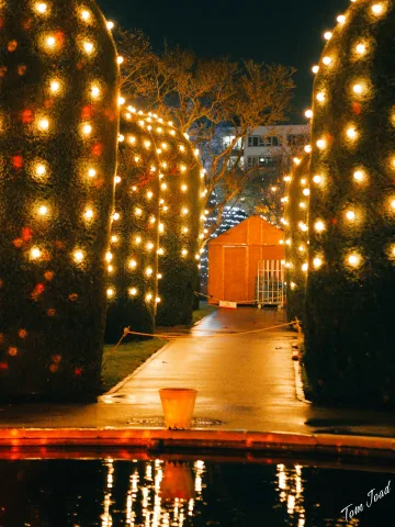 DC-G9M2 · 45mm · f/1.8 · 1/30s · ISO 3200