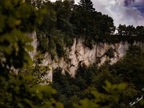 DC-GH6 · 40mm · f/2.8 · 1/640s · ISO 200