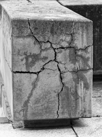 DC-G9M2 · 100mm · f/2.8 · 1/250s · ISO 125