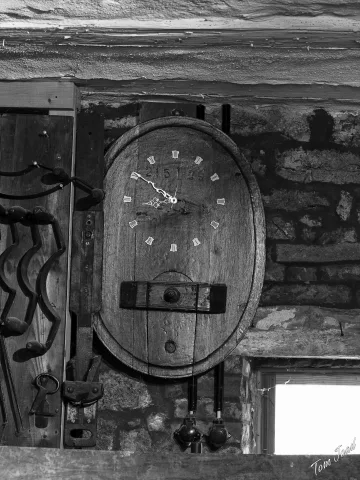 DC-G9M2 · 40mm · f/4 · 1/100s · ISO 2000