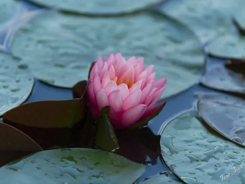 DC-G9M2 · 150mm · f/2.8 · 1/320s · ISO 125