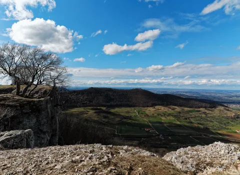 DC-G9M2 · 12mm · f/2.8 · 1/3200s · ISO 100
