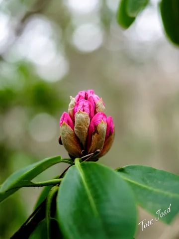 DC-G9M2 · 40mm · f/2.8 · 1/100s · ISO 250