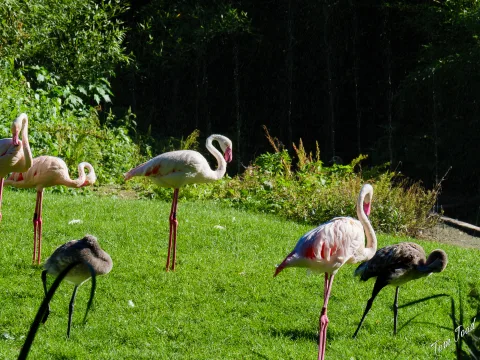 At the zoo