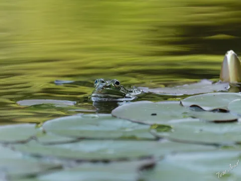 DC-G9M2 · 364mm · f/6.1 · 1/640s · ISO 1600