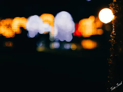 DC-G9M2 · 45mm · f/1.8 · 1/100s · ISO 3200