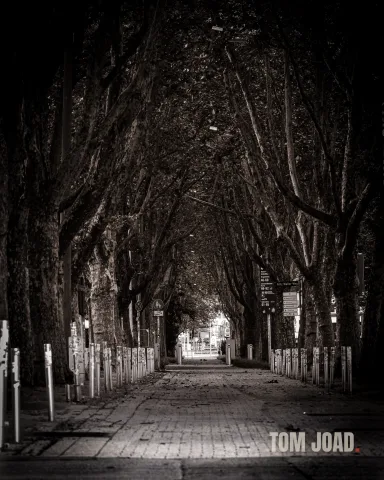 DC-G9M2 · 100mm · f/4.5 · 1/250s · ISO 800