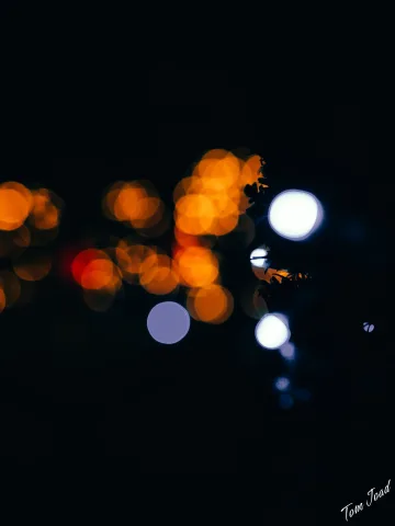 DC-G9M2 · 45mm · f/2.2 · 1/80s · ISO 3200