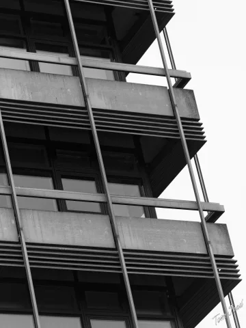 DC-G9M2 · 100mm · f/2.8 · 1/320s · ISO 100