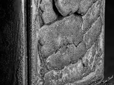 Macro Photography