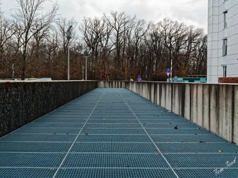 DC-G9M2 · 25mm · f/8 · 1/60s · ISO 100