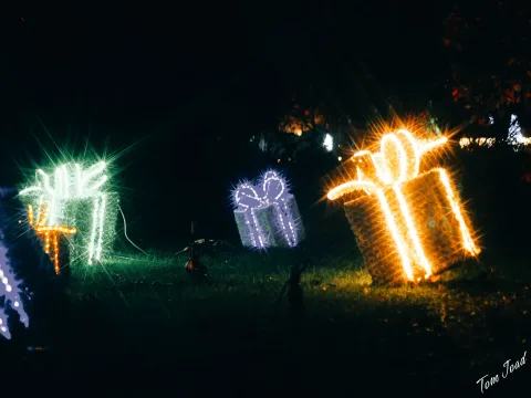 DC-G9M2 · 45mm · f/1.8 · 1/100s · ISO 2000