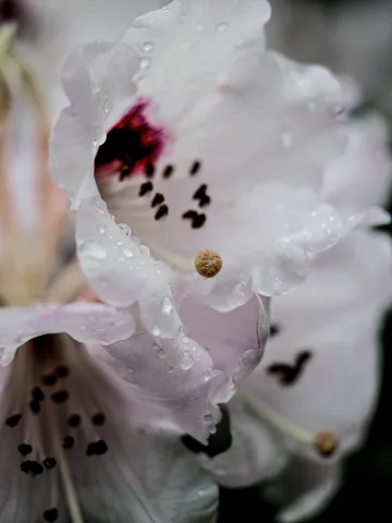 DC-G9M2 · 40mm · f/2.8 · 1/160s · ISO 100