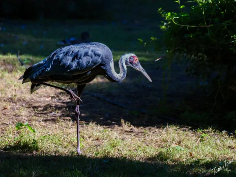At the zoo