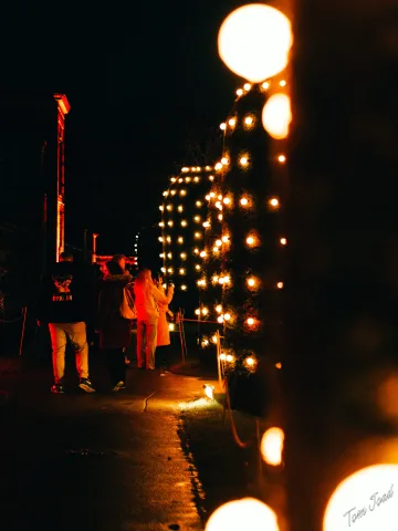 DC-G9M2 · 45mm · f/1.8 · 1/80s · ISO 3200