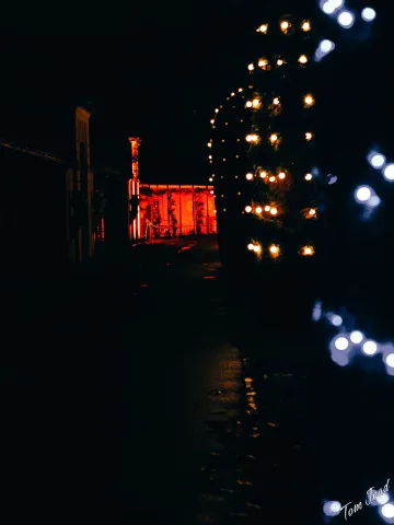 DC-G9M2 · 45mm · f/2.2 · 1/50s · ISO 3200