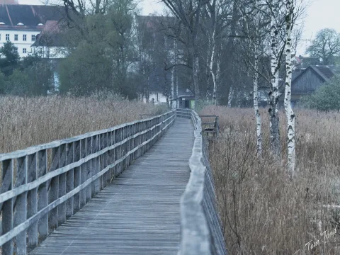 DC-G9M2 · 100mm · f/4.5 · 1/25s · ISO 6400